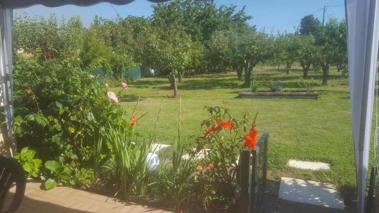 Quinta Do Serrado De Belmonte (Castelo Branco)